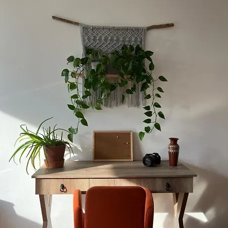 Apartman Vandor
